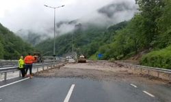 Trabzon-Gümüşhane yolu'nda  çamur ve ağaç parçaları ulaşıma kapadı