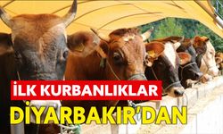 İlkadım'da hayvan pazarına ilk kurbanlıklar Diyarbakır’dan