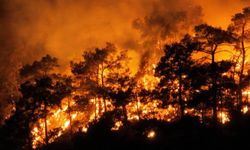 Antalya Kemer'deki orman yangınına müdahale devam ediyor