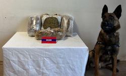 Bolu’da 5 kilo uyuşturucuyu narkotik köpeği "Bıçak" yakaladı: 5 gözaltı