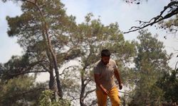 Bolu’daki orman yangınına müdahale devam ediyor