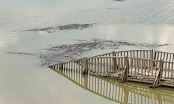 Efteni Gölü’nde hasarın boyutu ortaya çıktı