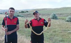 Kur’an kursu bahçesine giren yılanı itfaiye ekipleri yakaladı