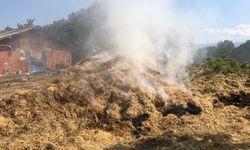 Amasya’da 10 ton saman kül oldu