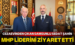 Cezaevinden çıkan Samsunlu Sedat Şahin MHP Liderini ziyaret etti