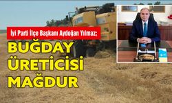 İyi Parti İlçe Başkanı Aydoğan Yılmaz; buğday üreticisi tüccara ezdiriliyor.