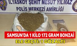 Samsun’da 1 kilo 172 gram bonzai ele geçti: 1 gözaltı