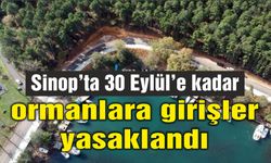 Sinop’ta 30 Eylül’e kadar ormanlara girişler yasak