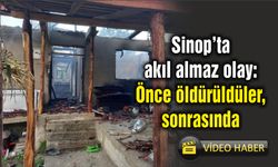 Sinop’ta akıl almaz olay: Önce öldürüldüler, sonrasında...