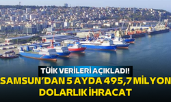 TÜİK verileri açıkladı! Samsun’dan 5 ayda 495,7 milyon dolarlık ihracat