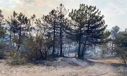 Orman yangınlarından biri kontrol altına alındı