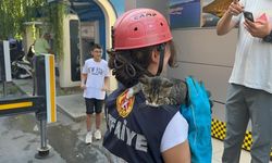 Mahsur kalan kedi ekipler tarafından kurtarıldı