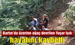 Bartın'da üzerine ağaç devrilen Yaşar Işık hayatını kaybetti