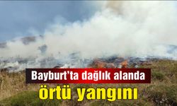 Bayburt'ta dağlık alanda örtü yangını