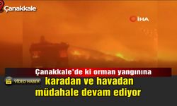 Çanakkale'de ki orman yangınına karadan ve havadan  müdahale devam ediyor