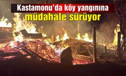 Kastamonu'da köy yangınına müdahale sürüyor