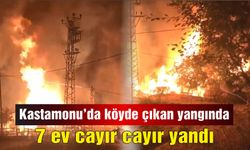 Kastamonu'da köyde çıkan yangında 7 ev cayır cayır yandı