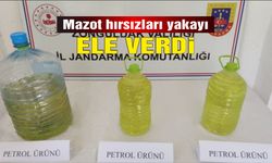 Zonguldak’ta kamu kurumlarına ait araçtan mazot hırsızlığı