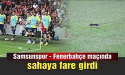 Samsunspor - Fenerbahçe maçında sahaya giren fare renkli görüntüler oluşturdu