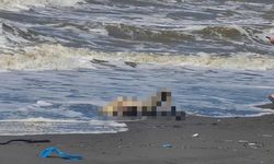Denizde kayboldu: Cesedi Batum'da bulundu!