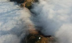 Eşsiz görüntüler: Arhavi'nin sis bulutuyla kaplanan yaylası