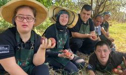 Özel gençler Tarım Akademisi'nde yetiştirilen elmaları hasat etti