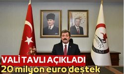 Samsun Valisi Tavlı: "Yatırımcıya 20 milyon euro destek"
