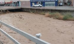 Şiddetli yağış ve sel felaketi: Maddi hasarlar oluştu