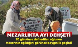 Mezarlıkta ayı dehşeti: 70 gün önce defnedilen oğlunun mezarının açıldığını görünce baygınlık geçirdi