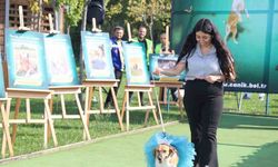 Canik Belediyesi'nden Dünya Hayvanları Koruma Günü etkinliği!