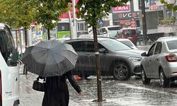 Düzce'de kuvvetli yağış etkisini sürdürüyor