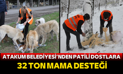 Atakum Belediyesi patili dostlar için seferber oldu: 32 ton mama desteği!