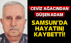 Ceviz toplamak istemişti: Samsun'da hayatını kaybetti!