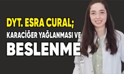 Karaciğer Yağlanması ve Beslenme