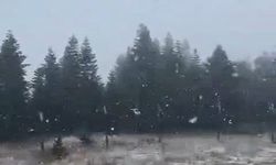 Göynük Dağı’nda  kar yağışı etkili oldu