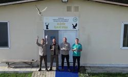 Sinop’ta tedavisi tamamlanan 4 baykuş doğaya salındı