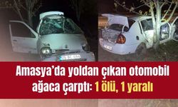 Amasya’dan otomobil ağaca çarptı: 1 ölü, 1 yaralı