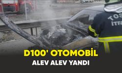 D100 karayulunda seyir halindeki otomobil alev alev yandı
