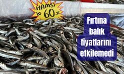 Fırtına balık fiyatlarını etkilemedi
