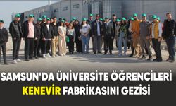Samsun'da Üniversite öğrencileri kenevir fabrikasını gezisi