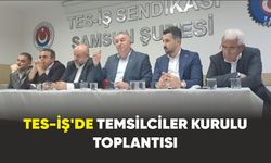 TES-İŞ’de Temsilciler Kurulu Toplantısı Samsun'da yapıldı