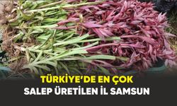 Samsun; Türkiye’de en çok salep üretilen il oldu