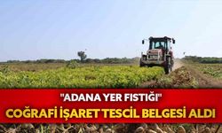 "Adana Yer Fıstığı" coğrafi işaret tescil belgesi aldı