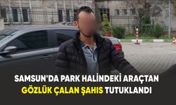 Samsun'da park halindeki araçtan gözlük hırsızlığı