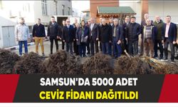 Samsun'da 5000 adet ceviz fidanı dağıtıldı