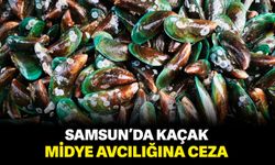 Samsun'da Kaçak midye avcılığına 5 bin 628 TL ceza