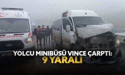 Yolcu minibüsü vince çarptı: 9 yaralı