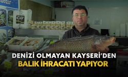 Denizi olmayan Kayseri’den balık ihracatı yapıyor
