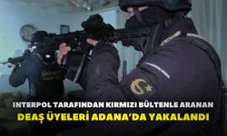 Interpol tarafından kırmızı bültenle aranan DEAŞ üyeleri Adana’da yakalandı