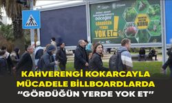 Kahverengi kokarcayla mücadele billboardlarda